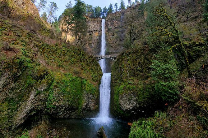 Half Day Columbia River Gorge Waterfalls Tour - The Oneonta Gorge Slot-Canyon Segment: Cold Water, Big Reward