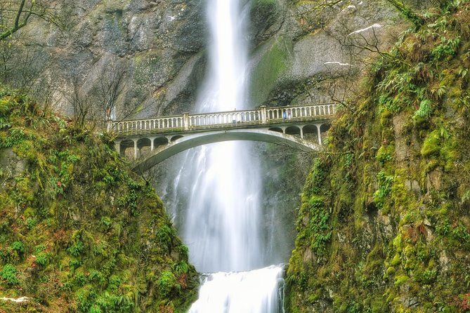 Hike and Bike Tour to Columbia River Gorge Waterfalls - Hikes: short, scenic, and not a slog