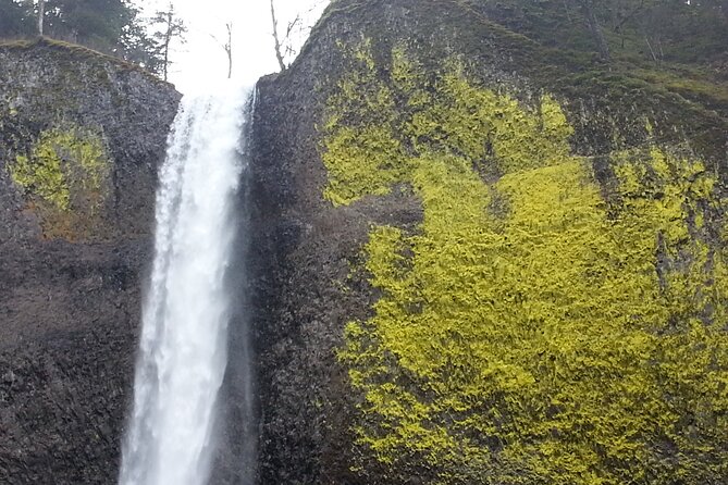 Morning Multnomah Falls and Gorge Waterfalls Tour - Latourell Falls: basalt columns, lichen, and the punch-bowl pool