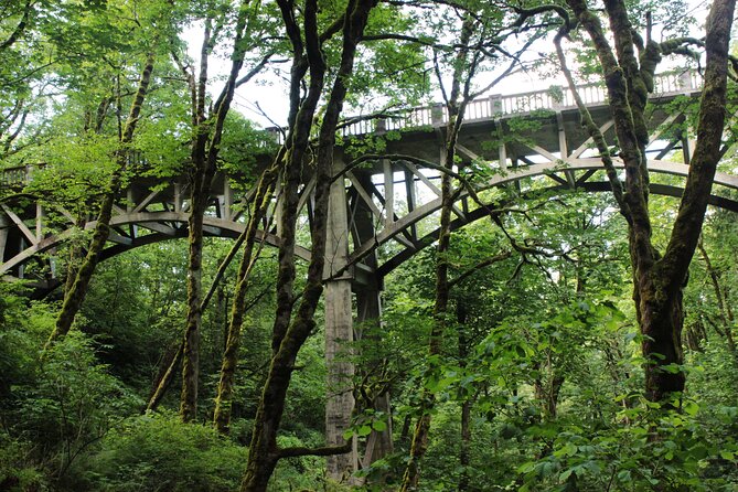 Morning Multnomah Falls and Gorge Waterfalls Tour - Guides and the kind of attention you actually feel