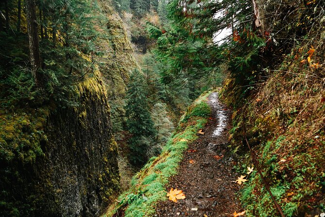 Mount Hood Loop Scenic Drive Self Guided Audio Tour - Mount Hood first: waterfall-free scenery that still feels huge