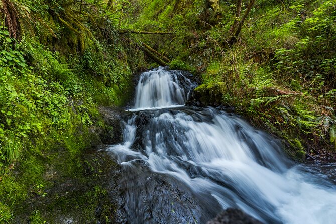 Mount Hood Loop Scenic Drive Self Guided Audio Tour - Hood River to Timberline Lodge: where the tour becomes more than waterfalls
