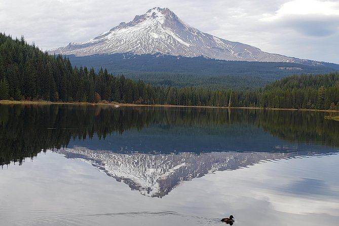 Mt. Hood Loop Tour from Portland - Columbia River Gorge: waterfalls and viewpoint stops that set the tone