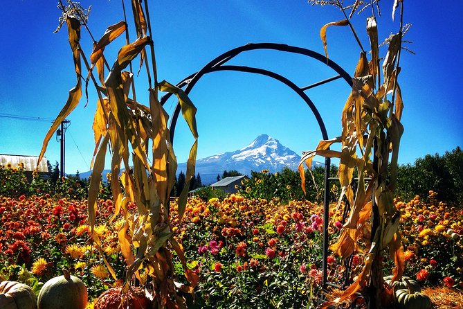 Mt Hood Loop Tour including Multnomah Falls - Stop 3: Rowena Crest Viewpoint and the Historic Switchback Climb