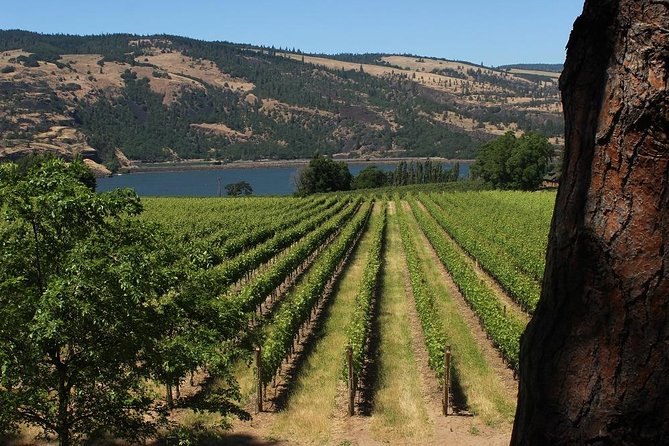 Mt Hood, Waterfalls, and Wine Tour - Multnomah Falls: The Waterfall You Plan the Day Around