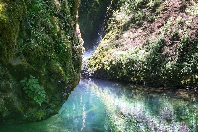 Multnomah Falls and Columbia River Gorge Half-Day Hiking Tour - Portland to the Columbia River Gorge, minus the driving stress