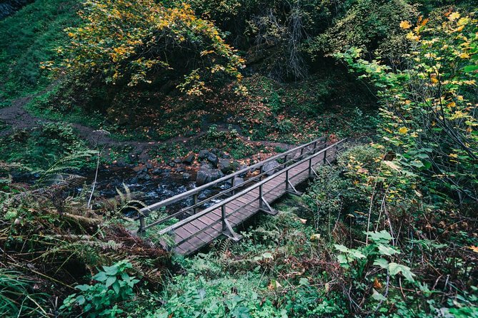 Multnomah Falls and Columbia River Gorge Waterfalls Tour Morning - Portland Women’s Forum State Scenic Viewpoint: Your First Big Take