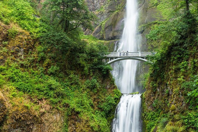Multnomah Falls & Columbia River Gorge Tour by Envi Adventures - Key things to know before you go