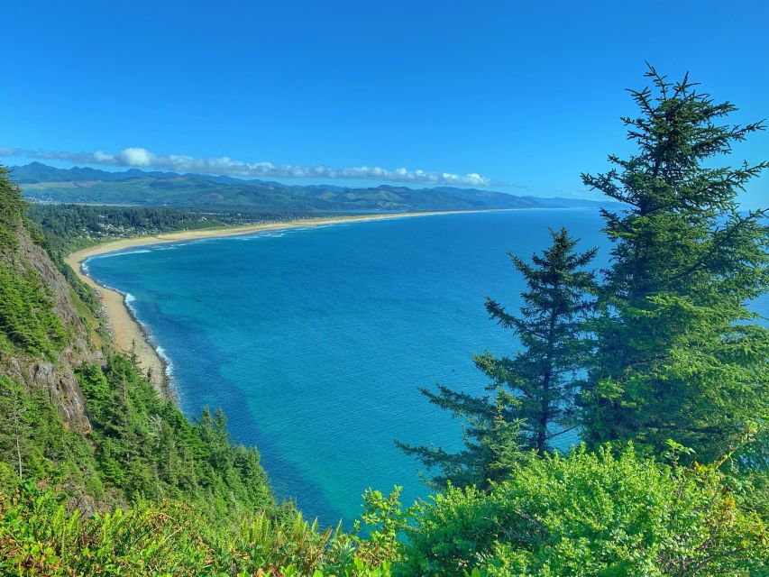 Oregon Coast Day Tour: Cannon Beach and Haystack Rock - Haystack Rock: your main event, with a tide-and-bird bonus
