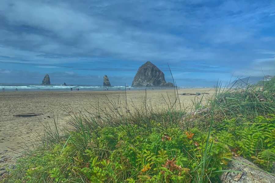 Oregon Coast Day Tour: Cannon Beach and Haystack Rock - Morning logistics: Portland pickup and how the day flows