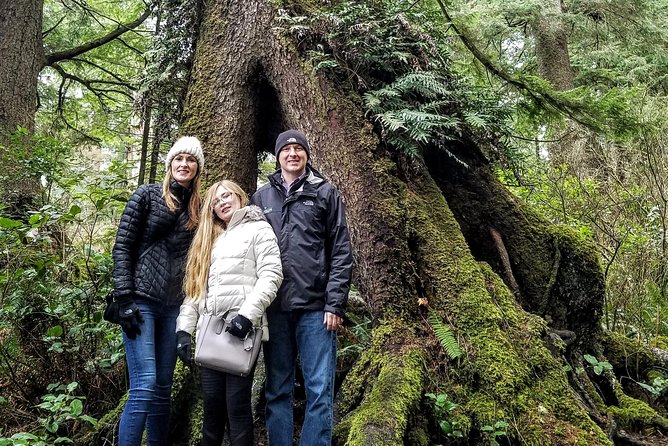 Oregon Coast Tour and Wine Tasting From Portland- Full Day Tour - Manzanita Point and Its Cliff Outlooks: Short Time, Big Drops