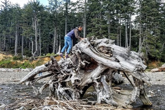 Oregon Coast Tour and Wine Tasting From Portland- Full Day Tour - Lunch at Wayfarer Restaurant: Plan for Out-of-Pocket Meals