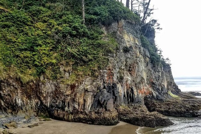 Oregon Coast Tour and Wine Tasting From Portland- Full Day Tour - Guide Style and the Small-Group Advantage (Why It Matters)