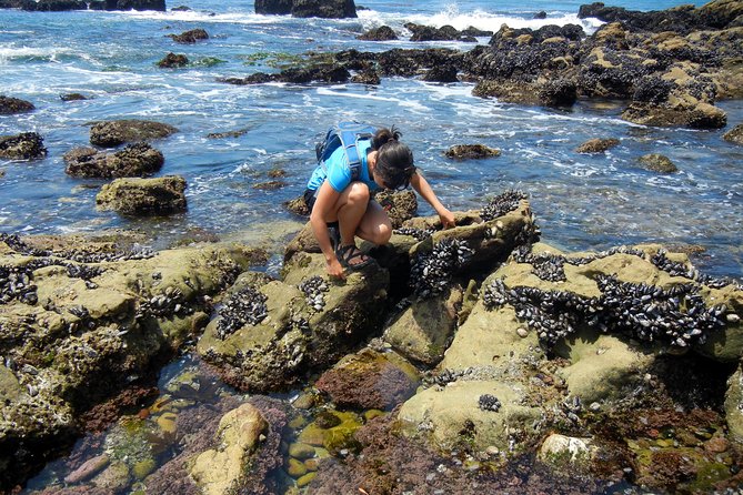 Oregon Coast Tour from Portland - Lunch in Cannon Beach: free time to eat like a local
