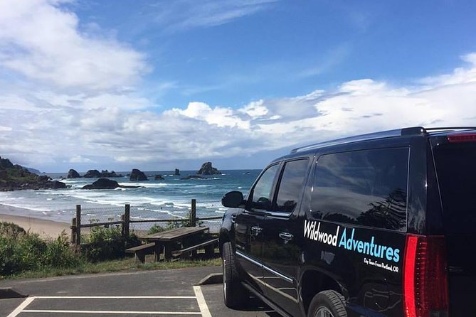 Oregon Coast Tour from Portland - Neahkahnie Overlook: the high point where gray whales may appear
