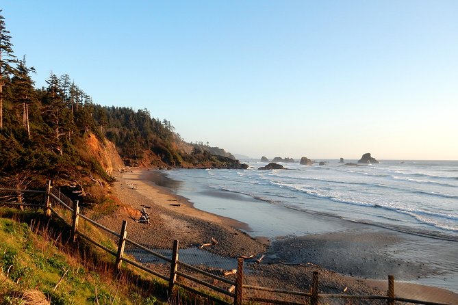 Oregon Coast Tour from Portland - Oswald West State Park: forest-to-shore walking and Smugglers Cove views