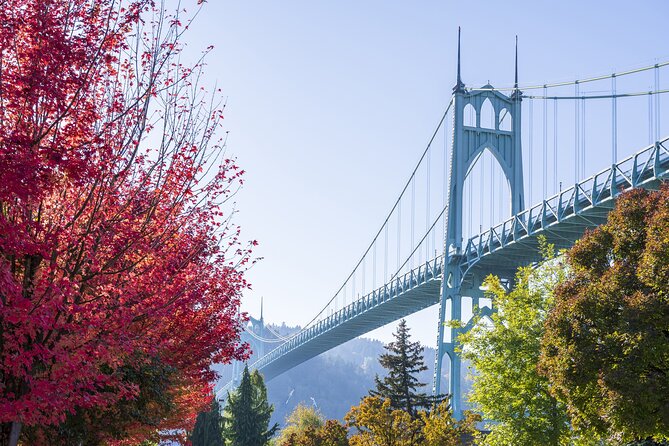 Portland City Tour: Views and News (Our Best Selling Tour!) - McMenamins Kennedy School and Cathedral Park: Offbeat Portland Meets Lewis and Clark