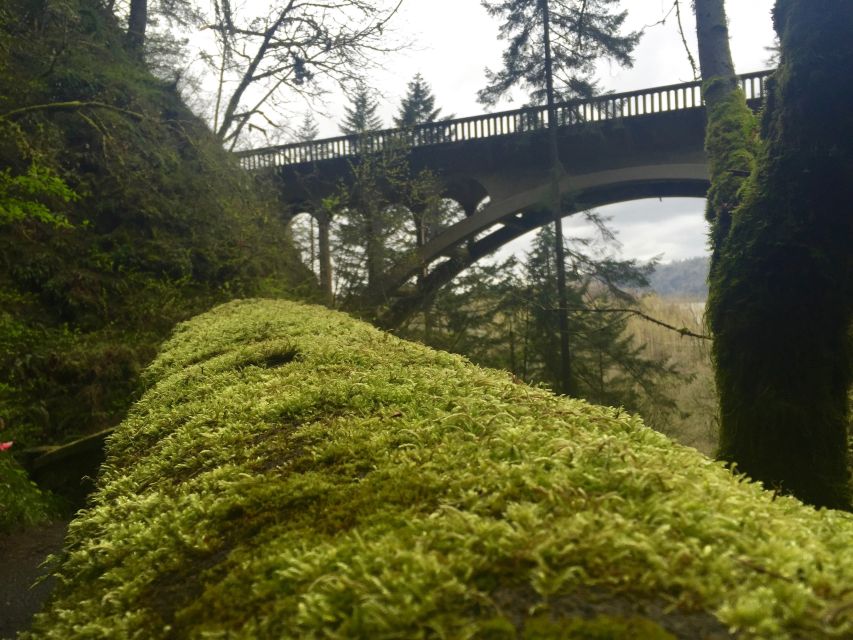 Portland: Columbia River Gorge 3-Hour Small Group Tour - Multnomah Falls and Benson Bridge: your big Oregon icon stop