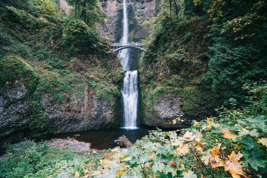 Portland: Columbia River Gorge Waterfalls Afternoon Tour - Key things I’d plan around