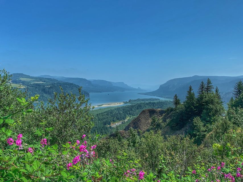 Portland: Columbia River Gorge Waterfalls Afternoon Tour - Latourell Falls: A Classic Stop With Time for Short Walks