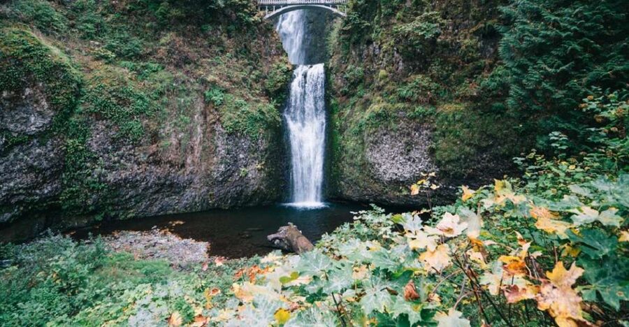Portland: Columbia River Gorge Waterfalls Afternoon Tour - Columbia River Gorge National Scenic Area: Dams, Vistas, and the Story Between Stops