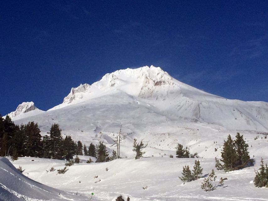 Portland: Mount Hood Wine and Waterfalls Full-Day Tour - Pricing and value: what you’re really paying for at $179