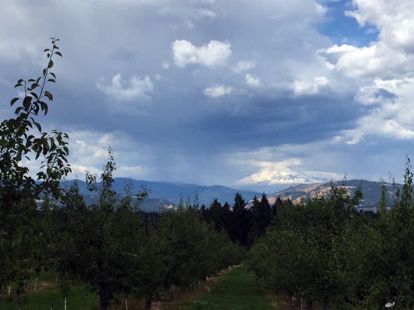 Portland: Mount Hood Wine and Waterfalls Full-Day Tour - Timberline Lodge on Mount Hood: your one-hour “out of the van” moment