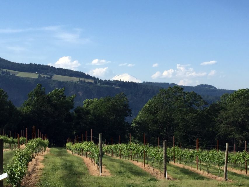 Portland: Mount Hood Wine and Waterfalls Full-Day Tour - Guides and driving: why the Mercedes Sprinter matters