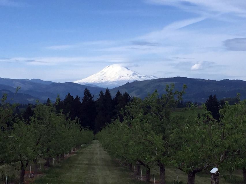 Portland: Mount Hood Wine and Waterfalls Full-Day Tour - Food and drinks: what’s included and what you’ll likely pay for