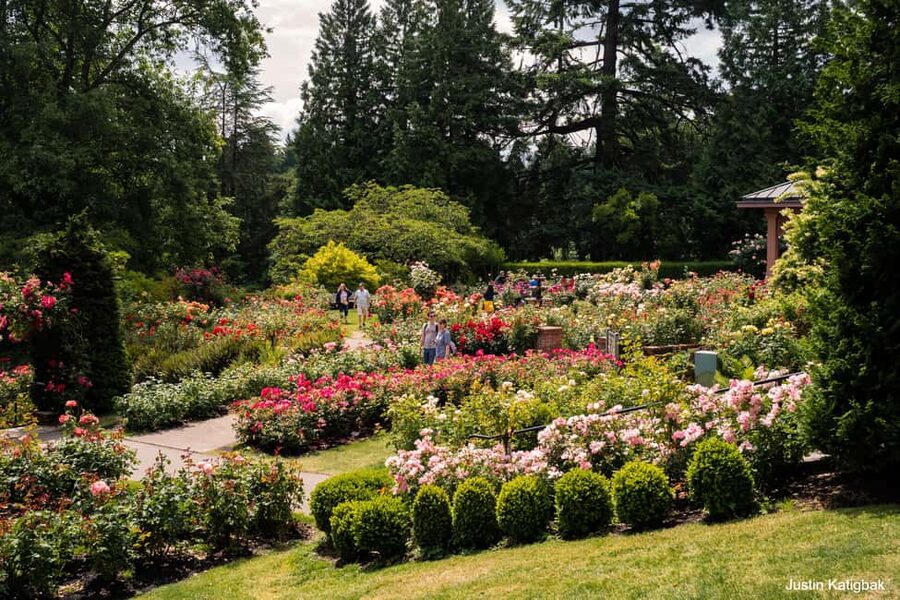 Portland, Oregon: City Highlights Tour with Aerial Tram Ride - Downtown Park Blocks and Washington Park drive-by: learning Portland’s geography