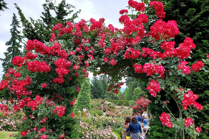 Portland, Oregon City Tour! - Pittock Mansion: The Panoramic Photo You’ll Actually Understand