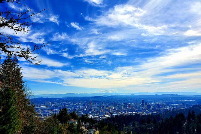 Portland, Oregon City Tour! - SE Portland by Van: Hawthorne, Division, Belmont, and the Cartoon Quiz
