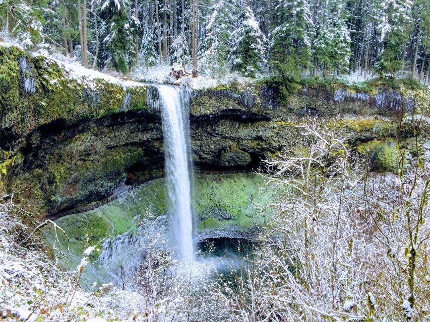 Portland: Silver Falls Hike - Key highlights worth getting excited about
