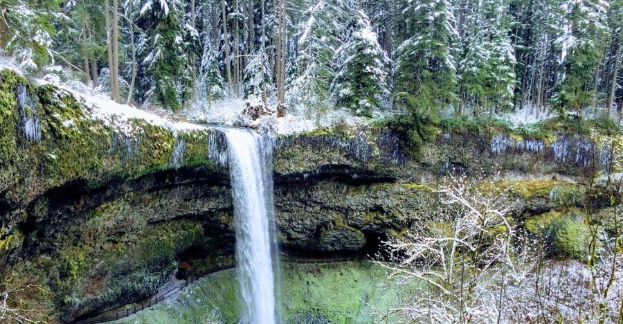 Portland: Silver Falls Hike - A guide like Marcus makes the valley click