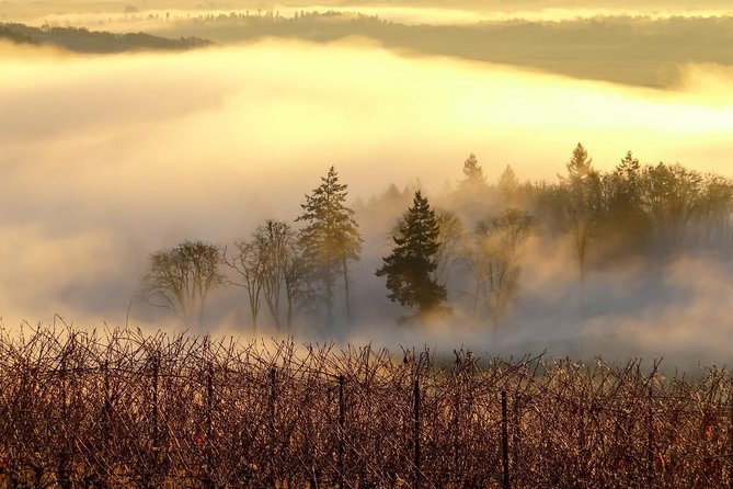 Private Customized Willamette Valley Wine Maker Tour with lunch - Hilltop tastings with Bocce-style downtime and classic flight choices