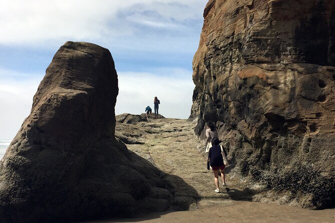 Private Northern Oregon Coast Day Trip - A private coast day from Portland: the real value