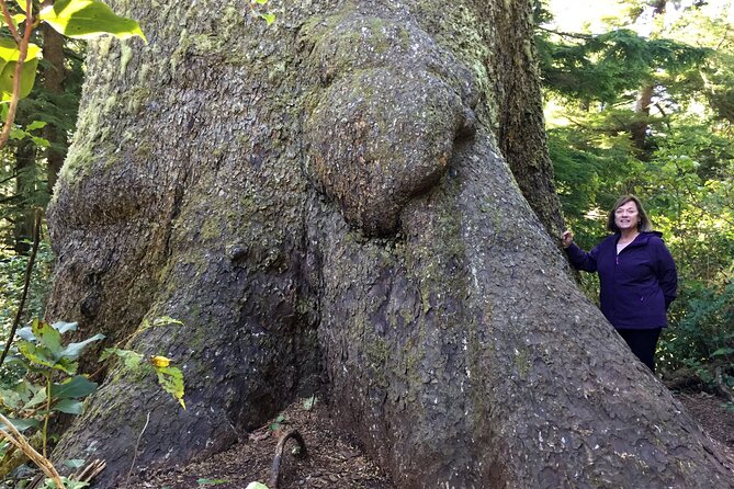 Private Northern Oregon Coast Day Trip - Hug Point State Park: caves, waterfall, and a carved headland road