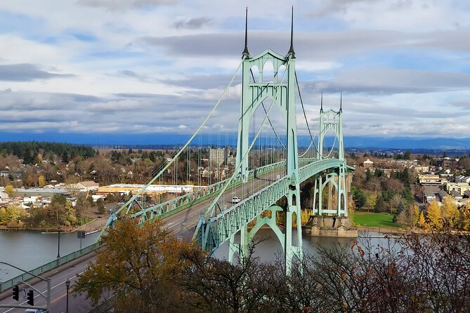 Private Portland Discovery Tour - OHSU skybridge + the Aerial Tram: moving viewpoints that feel worth it