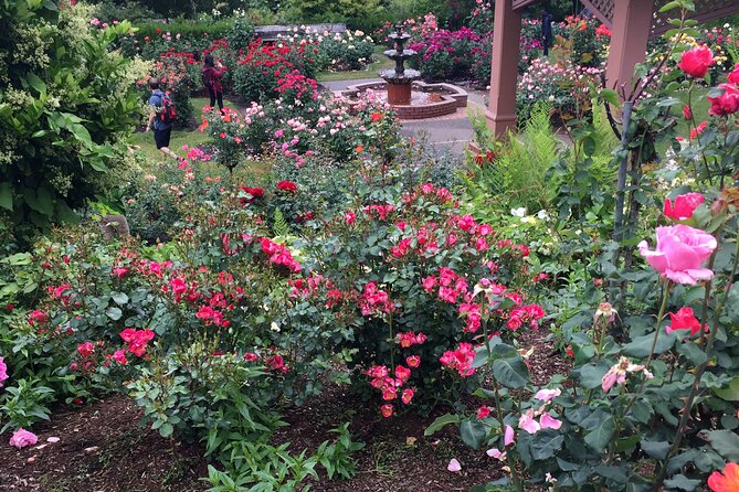 Private Portland Discovery Tour - Landmark driving that stitches neighborhoods together