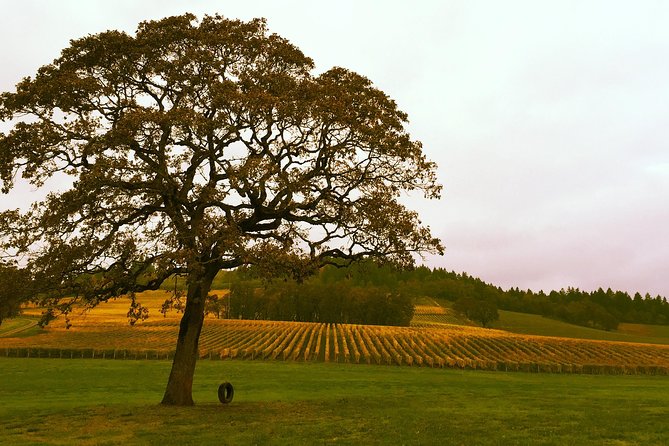 Private - Willamette Valley Wine Tour From Portland (tasting fees included) - A real-world example of winery variety you may experience