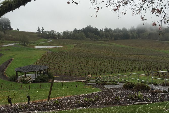 Private - Willamette Valley Wine Tour From Portland (tasting fees included) - The schedule: one long day of wineries, not a rushed slideshow