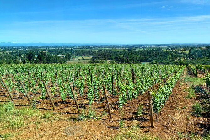 Private Wine Excursion Willamette Valley, Oregon - Wine Tour - What’s Included: Picnic Lunch, Water, Coffee, and Music That Actually Works