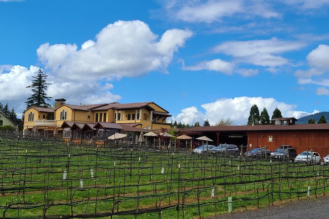Private Wine Tours - How the 9.5-hour day is paced (and why timing matters)