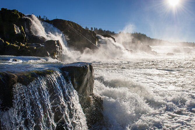 Scenic 2-Hour River Cruise to the Majestic Willamette Falls! - Quick highlights you’ll actually care about