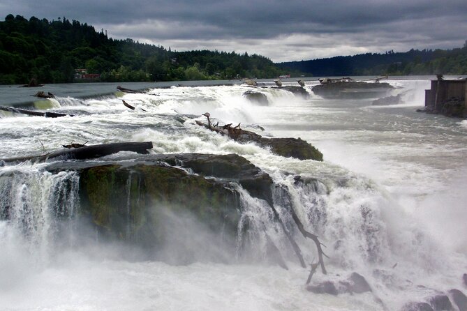 Scenic 2-Hour River Cruise to the Majestic Willamette Falls! - Safety and comfort: life jackets, blankets, and a boat built for the Pacific Northwest