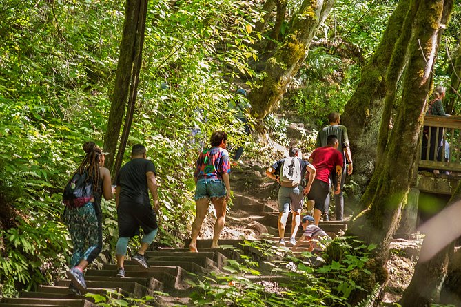 See Multnomah, two waterfalls & Vista House (Transport Included) - Why the guide matters when you only have 25 minutes per stop