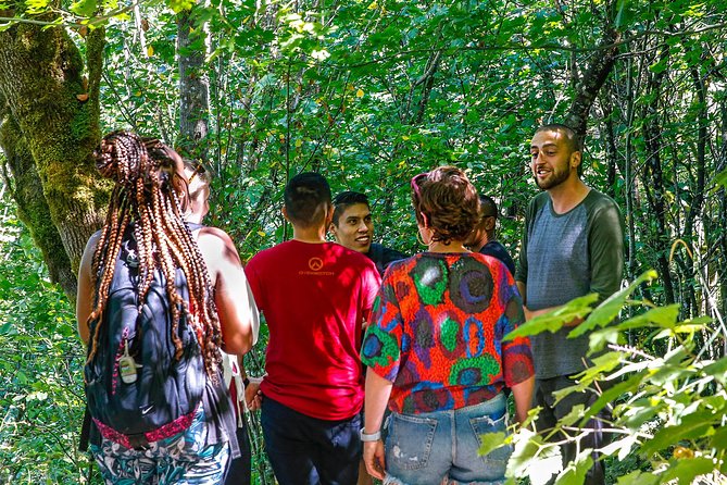 See Multnomah, two waterfalls & Vista House (Transport Included) - Price and value: why $70.52 can beat self-driving for many people
