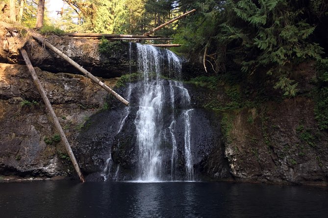 Silver Falls Hike - Small-Group Touring with Guides Like Sylvie, Marcus, and Dylan