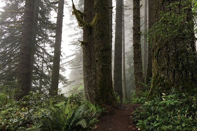 Silver Falls Waterfall Hiking Tour from Portland - Silverton and Mt. Angel: Short Stops That Add Flavor