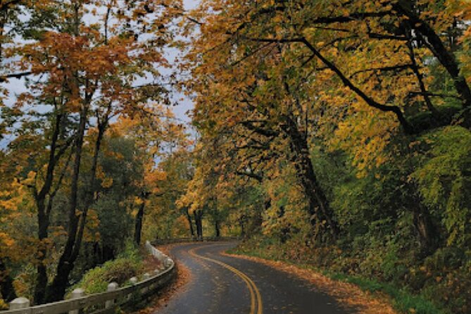 Sunset Tour of Multnomah Falls plus Vista House and Other Falls - Stop 3: Wahkeena Falls, the Most Beautiful spray hike
